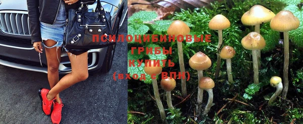 кокс Новокубанск