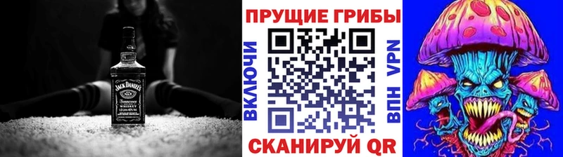 Галлюциногенные грибы Psilocybe Новосиль
